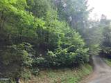0 Old Hag Hollow Way - Photo 3