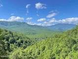 842 Vixen Run - Photo 3