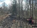 0 Leatherwood Road - Photo 15