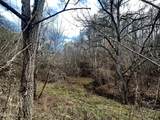 0 Leatherwood Road - Photo 8