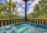 2251 Upper Middle Creek Road - Photo 17