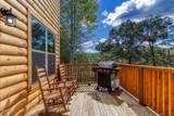 3846 Katelyns Lane - Photo 10