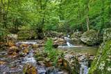 229 Smokey Run Road - Photo 9