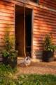 2405 Thompson Rd - Photo 60