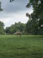106 Shawnee Dr - Photo 23