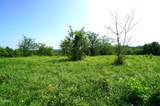 0 Old Greeneville Highway - Photo 3