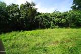 0 Old Greeneville Highway - Photo 4