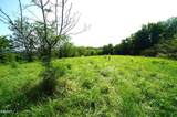 0 Old Greeneville Highway - Photo 6