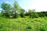 0 Old Greeneville Highway - Photo 9
