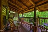 3209 Bear Country Way - Photo 18