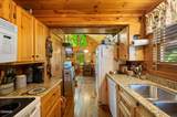 3209 Bear Country Way - Photo 8