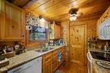 3209 Bear Country Way - Photo 9