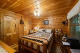 3209 Bear Country Way - Photo 10