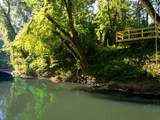 426 Cotton Ln - Photo 4