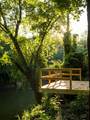426 Cotton Ln - Photo 42