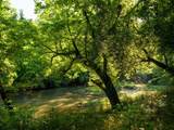 426 Cotton Ln - Photo 65