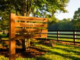 426 Cotton Ln - Photo 74
