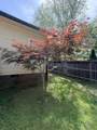 241 Quad Oak Dr - Photo 40