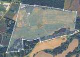 0 Gause Road - Photo 8