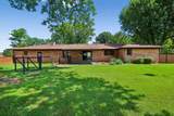 203 Kelly Dr - Photo 44