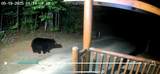 4548 Whetstone Road - Photo 35