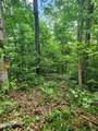 0 Lower Rinehart Road - Photo 4