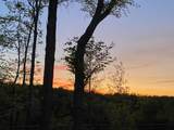 1751 County Road 50 - Photo 29