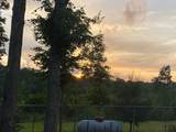 1751 County Road 50 - Photo 31