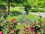 1751 County Road 50 - Photo 33