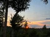 1751 County Road 50 - Photo 40