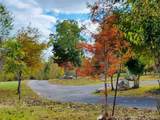 1751 County Road 50 - Photo 41