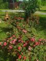 1751 County Road 50 - Photo 45