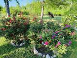 1751 County Road 50 - Photo 56