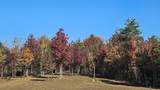 1751 County Road 50 - Photo 64