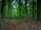 0 Timberwood Trace - Photo 42