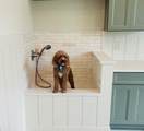 342 Raintree Drive - Photo 50