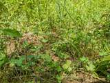 0 Keazy Hollow Rd - Photo 16