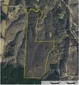 0 Keazy Hollow Rd - Photo 3