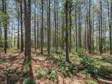 0 Big Opossum Creek Rd - Photo 1
