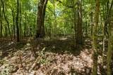 0 Shapiro Trail - Photo 17