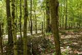 0 Shapiro Trail - Photo 19
