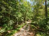 0 Shapiro Trail - Photo 21