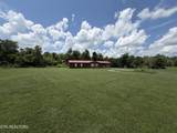 868 Fritzsche Loop - Photo 8
