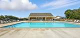 459 Spiderwort Dr - Photo 40
