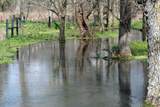 144 Mary Adams Rd - Photo 8