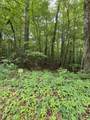 144 Lower Brow Road - Photo 4