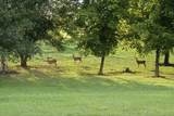 1780 Berea Church Rd - Photo 66