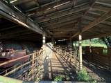 161 Hopkins Bridge Rd - Photo 26