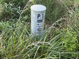 2407 Esque Sharp Rd - Photo 11