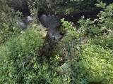 2407 Esque Sharp Rd - Photo 13